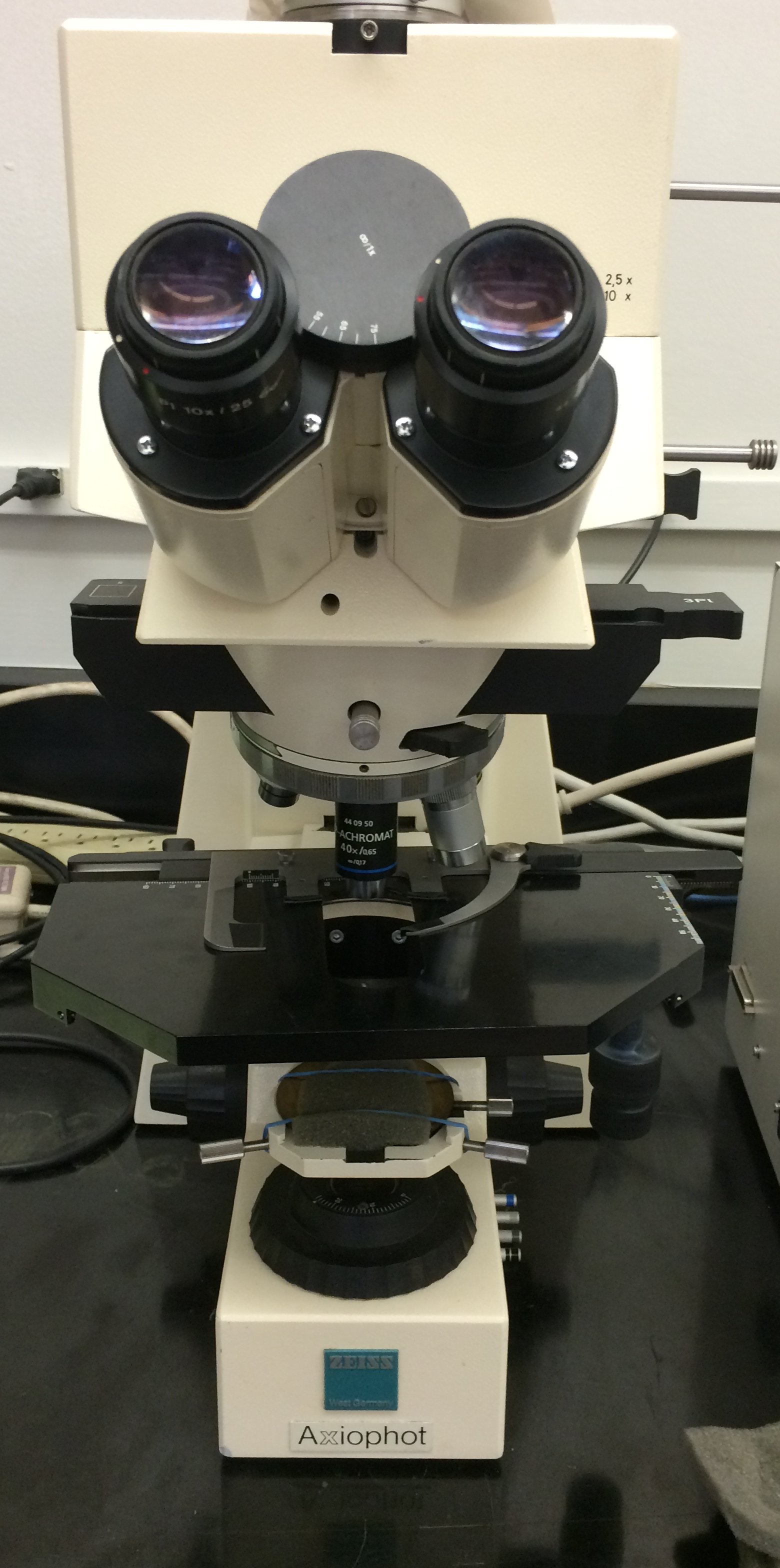 Zeiss Microscope