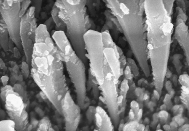 Nanorods GLAD