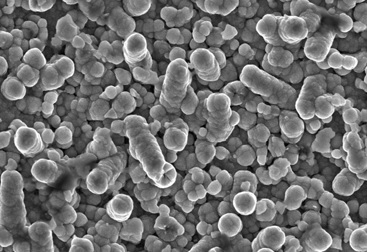 Nanorods
